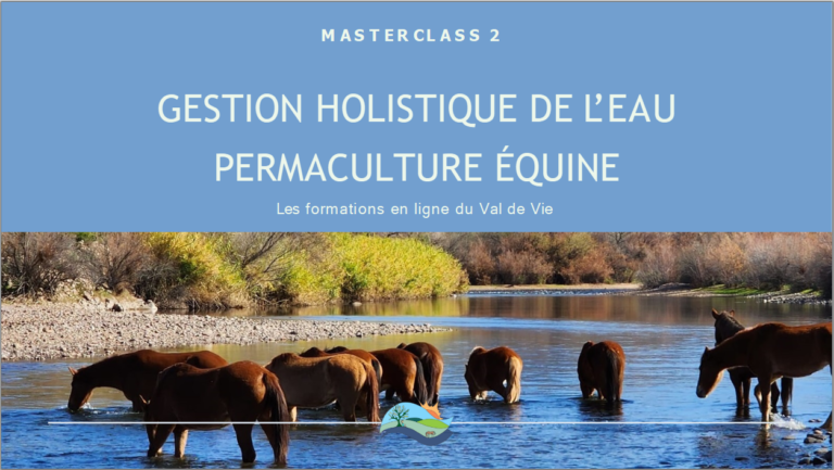 Masterclass 2 “Gestion Holistique de l’Eau en permaculture équine”